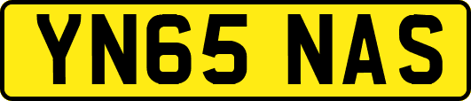 YN65NAS