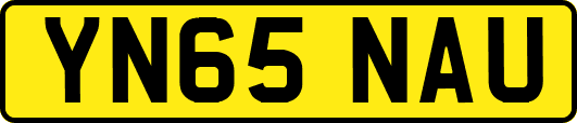 YN65NAU