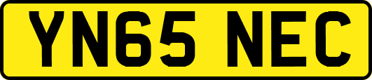 YN65NEC