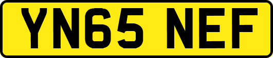 YN65NEF