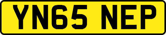 YN65NEP