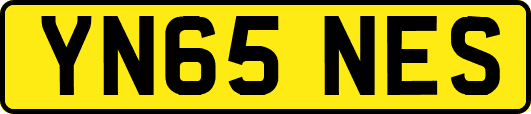 YN65NES