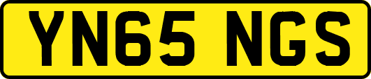 YN65NGS