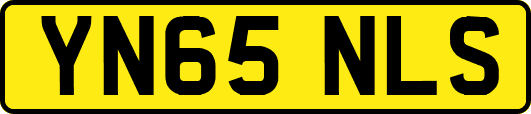 YN65NLS