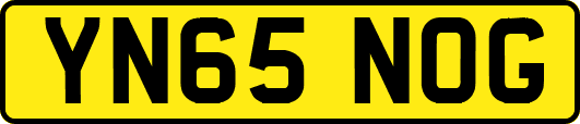 YN65NOG