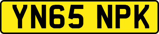 YN65NPK