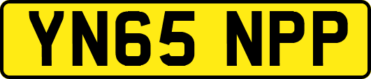 YN65NPP
