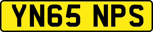 YN65NPS