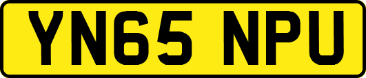 YN65NPU