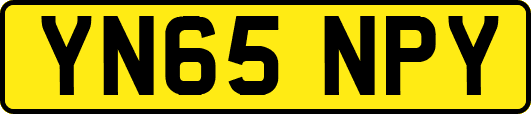 YN65NPY