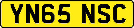 YN65NSC