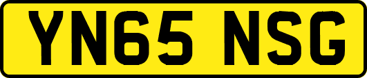 YN65NSG