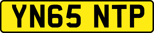 YN65NTP