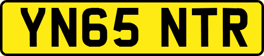 YN65NTR
