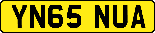YN65NUA
