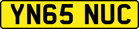 YN65NUC