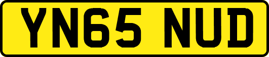 YN65NUD