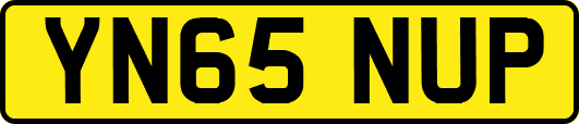 YN65NUP