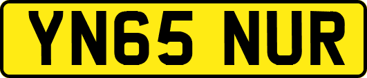 YN65NUR