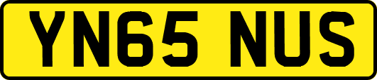 YN65NUS