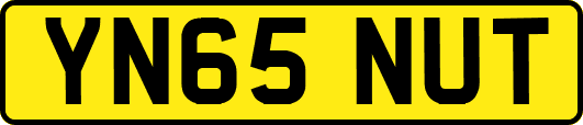 YN65NUT