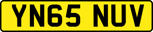 YN65NUV