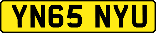 YN65NYU