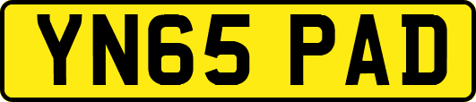 YN65PAD