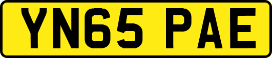 YN65PAE