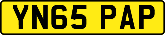 YN65PAP