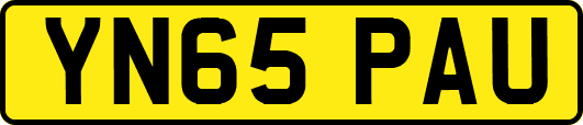 YN65PAU