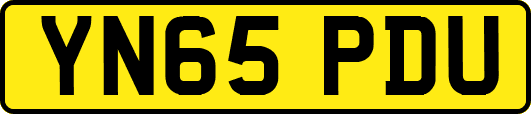YN65PDU