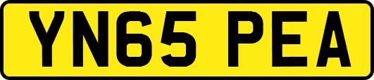 YN65PEA