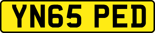 YN65PED