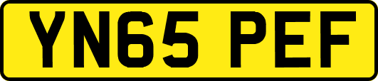 YN65PEF