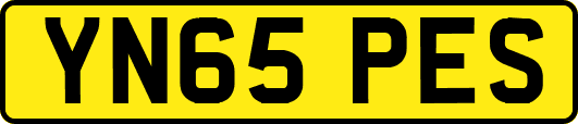 YN65PES