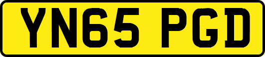 YN65PGD