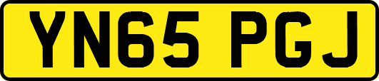 YN65PGJ