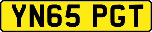 YN65PGT