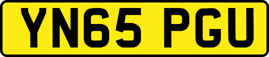 YN65PGU