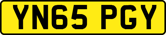YN65PGY