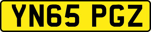 YN65PGZ