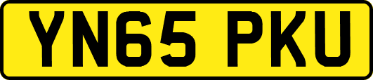 YN65PKU