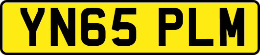 YN65PLM