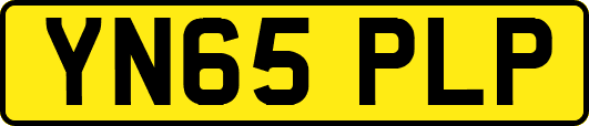 YN65PLP