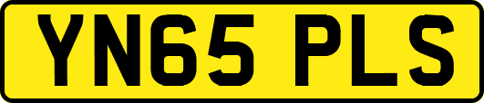 YN65PLS