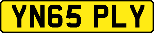 YN65PLY