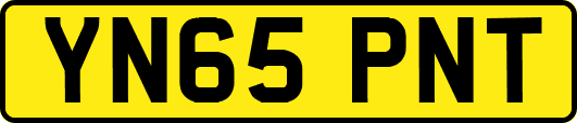 YN65PNT