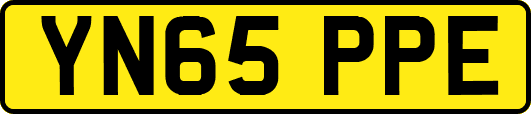 YN65PPE
