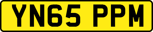 YN65PPM